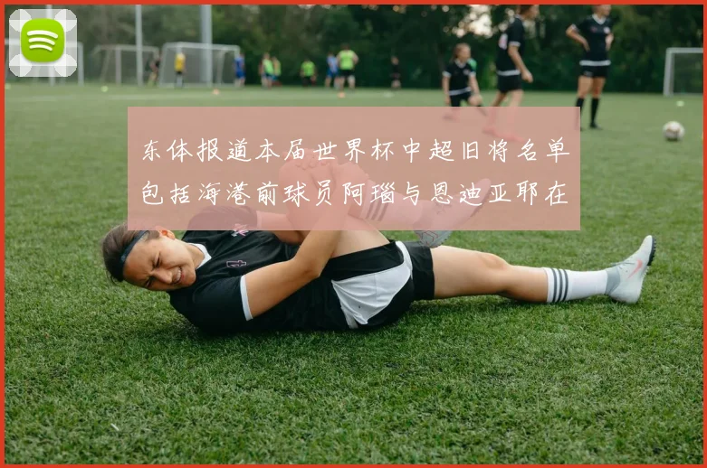 东体报道本届世界杯中超旧将名单包括海港前球员阿瑙与恩迪亚耶在内的10位球员