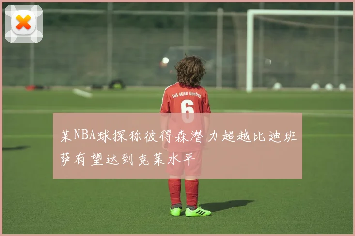 某NBA球探称彼得森潜力超越比迪班萨有望达到克莱水平