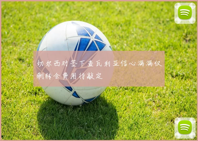切尔西对签下查瓦利亚信心满满仅剩转会费用待敲定