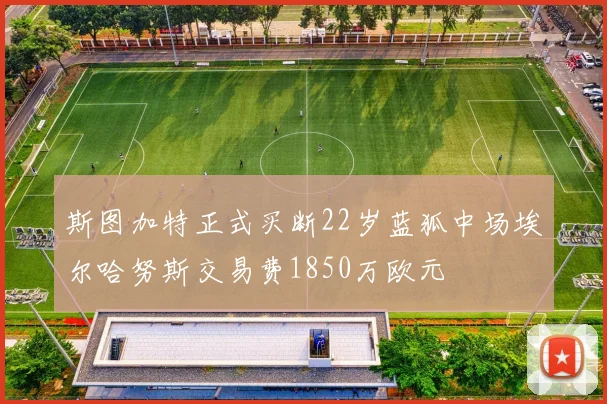 斯图加特正式买断22岁蓝狐中场埃尔哈努斯交易费1850万欧元