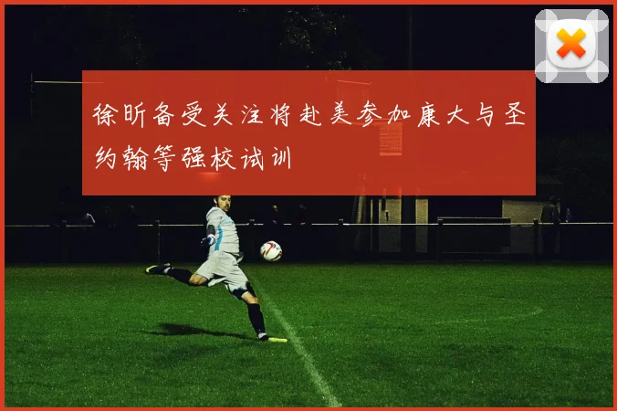 徐昕备受关注将赴美参加康大与圣约翰等强校试训