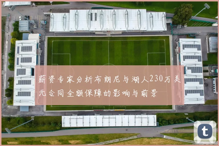 薪资专家分析布朗尼与湖人230万美元合同全额保障的影响与前景